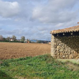 FINCA RUSTICA DE REGADÍO EN CUBILLAS DE SANTA MARTA (VALLADOLID)